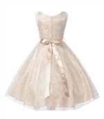 A-line lace flower girl dresses-champagne (7)