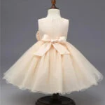 Baby girl tulle party dress-cream (2)