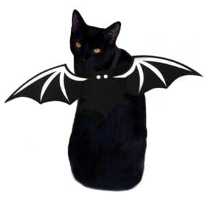 Cat halloween bat wings-white