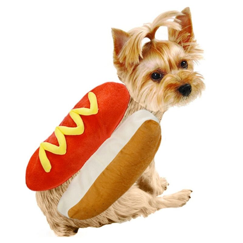 Small dog wearing hot dog costume with bun and mustard design, funny pet Halloween outfit