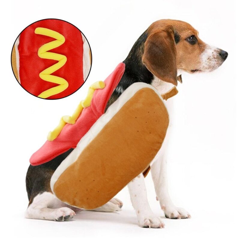 Dog dressed as hotdog with bun costume and mustard detail, cute and funny pet outfit