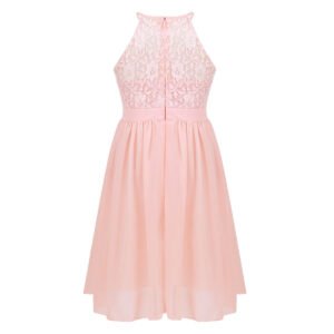 Lace chiffon flower girl dress-pink (3)