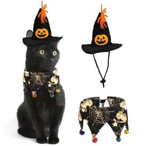 Pet Halloween hat and scarf set (1)