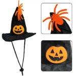 Pet Halloween hat and scarf set (2)