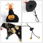 Pet Halloween hat and scarf set (3)