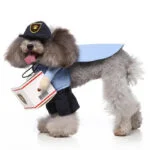 Postman dog Halloween costume (1)