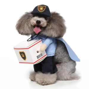 Postman dog Halloween costume (4)