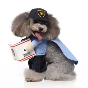 Postman dog Halloween costume (5)
