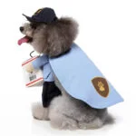 Postman dog Halloween costume (6)