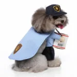Postman dog Halloween costume (7)