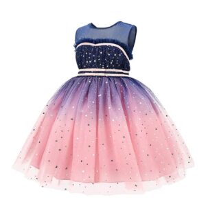 Princess birthday party dress-navy-blue-pink