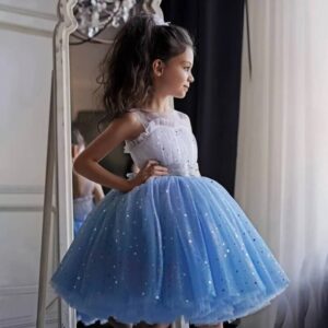 Princess birthday party dress-white-blue (1)