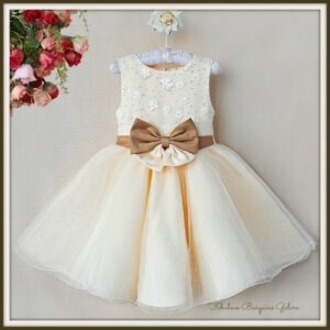 Champagne flower girl dress for age 4-5 years-Fabulous Bargains Galore