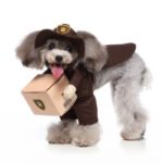 mailman dog Halloween costume (1)
