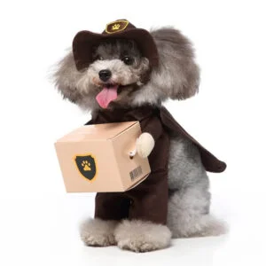 mailman dog Halloween costume (3)