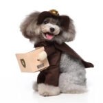 mailman dog Halloween costume (4)