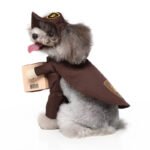 mailman dog Halloween costume (5)