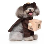 mailman dog Halloween costume (7)