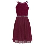 Cute girl party dress-burgundy (3)