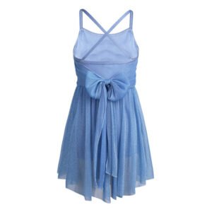 Little girl ballet dance dress-blue (3)
