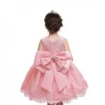 Baby girl princess lace dress-pink (1)