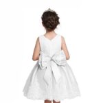 Baby girl princess lace dress-white (3)