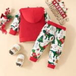 Unisex baby hooded Christmas outfit - dinosaur (3)