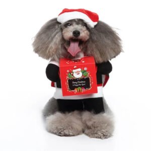 Christmas Santa dog costume (2)