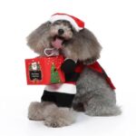 Christmas Santa dog costume (3)