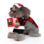Christmas Santa dog costume (4)