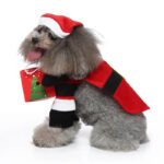 Christmas Santa dog costume (5)