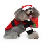 Christmas Santa dog costume (8)