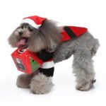 Christmas Santa dog costume (9)