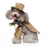 Cowboy dog Halloween costume (3)
