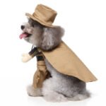 Cowboy dog Halloween costume (4)
