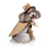 Cowboy dog Halloween costume (5)