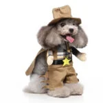 Cowboy dog Halloween costume (6)