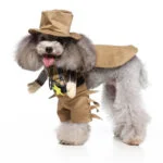 Cowboy dog Halloween costume (7)