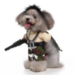 Mercenary dog Halloween costume (8)