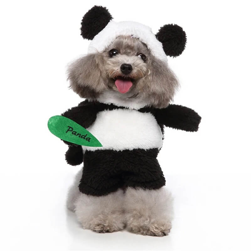 Panda dog Halloween costume (2)