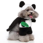 Panda dog Halloween costume (3)