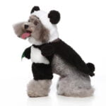 Panda dog Halloween costume (5)