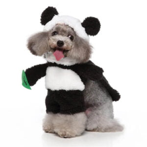 Panda dog Halloween costume (6)
