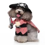 Pirate dog Halloween costume (1)