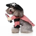Pirate dog Halloween costume (2)
