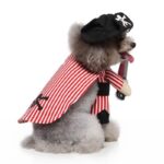 Pirate dog Halloween costume (3)