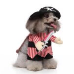 Pirate dog Halloween costume (4)