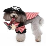 Pirate dog Halloween costume (5)