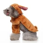 Rabbit dog Halloween costume (3)