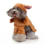 Rabbit dog Halloween costume (4)